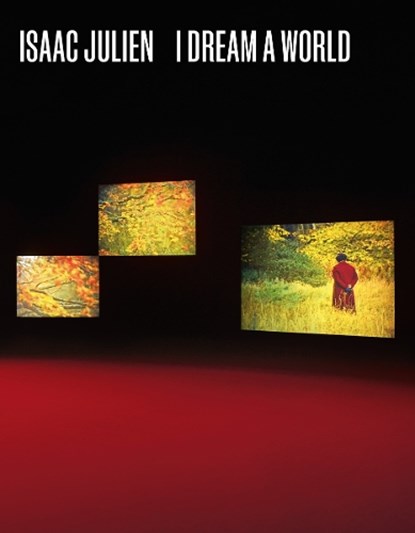 Isaac Julien, Hilton Als ; Claudia Schmuckli ; B. Ruby Rich ; Dan Hicks - Paperback - 9780500298893