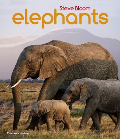 Elephants, Steve Bloom - Paperback - 9780500650554