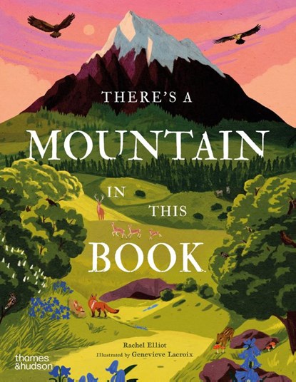 There's a Mountain in This Book, Rachel Elliot - Gebonden - 9780500653395