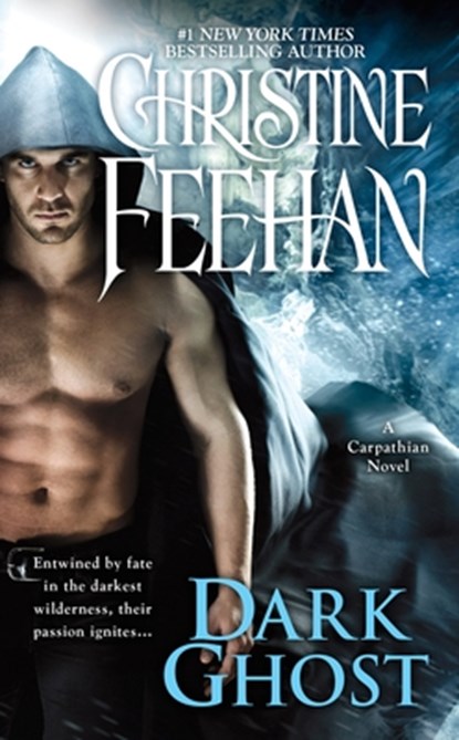 Dark Ghost, Christine Feehan - Paperback - 9780515155587