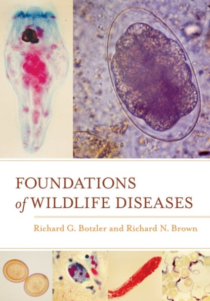 Foundations of Wildlife Diseases, Richard G. Botzler ; Richard N. Brown - Gebonden - 9780520276093