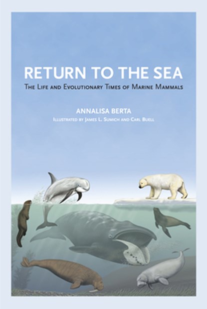 Return to the Sea, Annalisa Berta - Paperback - 9780520355521
