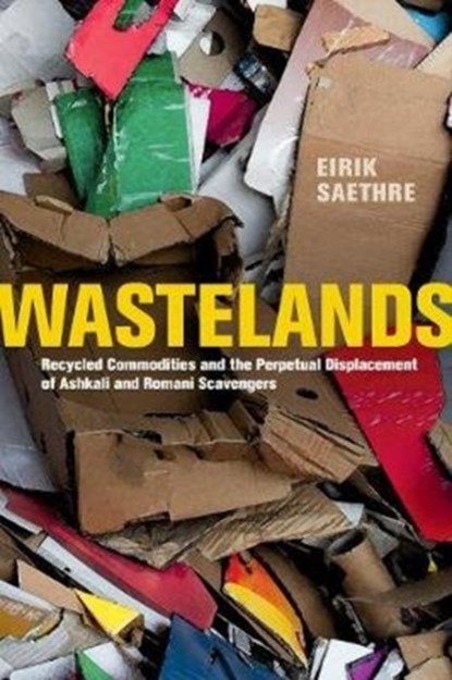 Wastelands, Eirik Saethre - Paperback - 9780520368514