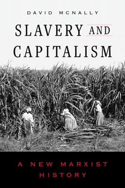Slavery and Capitalism, David McNally - Gebonden - 9780520415973