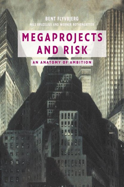 Megaprojects and Risk, Bent (Aalborg University Flyvbjerg ; Nils (Stockholms Universitet) Bruzelius ; Werner (Universitat Fridericiana Karlsruhe Rothengatter - Paperback - 9780521009461