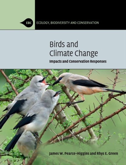 Birds and Climate Change, JAMES W. (BRITISH TRUST FOR ORNITHOLOGY,  Norfolk) Pearce-Higgins ; Rhys E. (University of Cambridge) Green - Paperback - 9780521132190