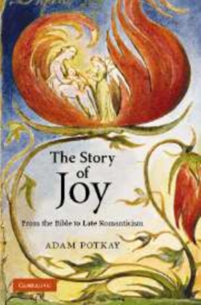 The Story of Joy, ADAM (COLLEGE OF WILLIAM AND MARY,  Virginia) Potkay - Paperback - 9780521178419