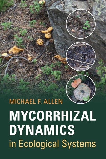 Mycorrhizal Dynamics in Ecological Systems, Michael F. Allen - Paperback - 9780521539104