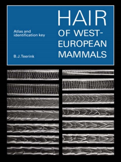 Hair of West European Mammals, B. J. Teerink - Paperback - 9780521545778