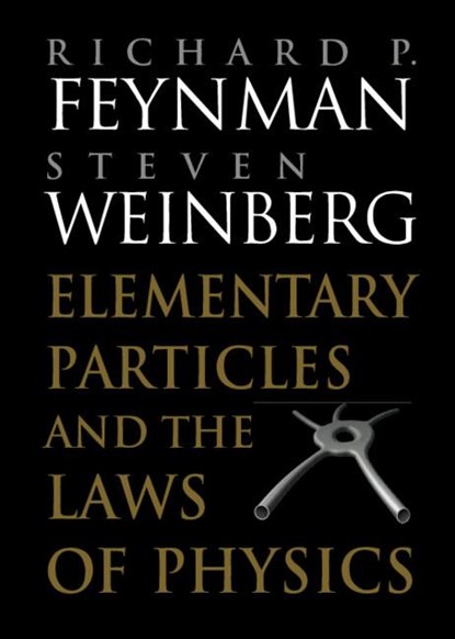 Elementary Particles and the Laws of Physics, Richard P. Feynman ; Steven (University of Texas Weinberg - Paperback - 9780521658621