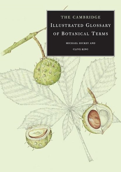 The Cambridge Illustrated Glossary of Botanical Terms, Michael Hickey ; Clive King - Paperback - 9780521794015
