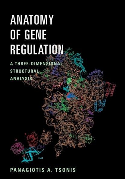 Anatomy of Gene Regulation, PANAGIOTIS A. (UNIVERSITY OF DAYTON,  Ohio) Tsonis - Paperback - 9780521804745