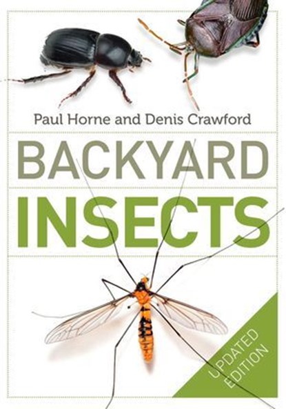Backyard Insects Updated Edition, Paul Horne ; Denis Crawford - Ebook - 9780522869620