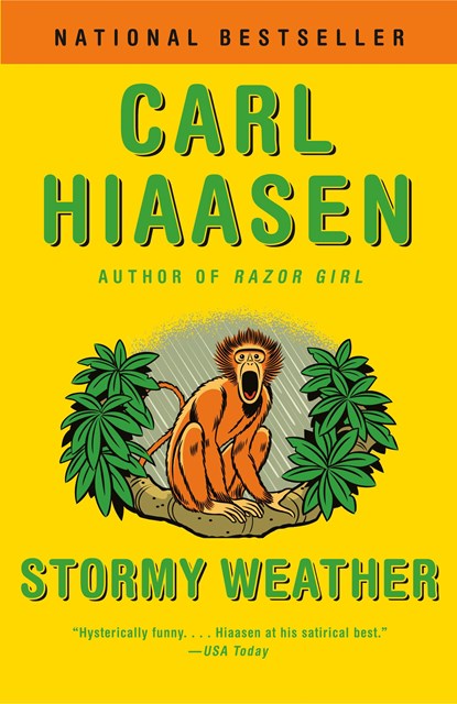 Stormy Weather, Carl Hiaasen - Paperback - 9780525431787