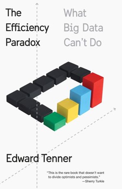 The Efficiency Paradox, Edward Tenner - Ebook - 9780525520306
