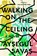 Walking on the Ceiling, Aysegul Savas - Paperback - 9780525537427