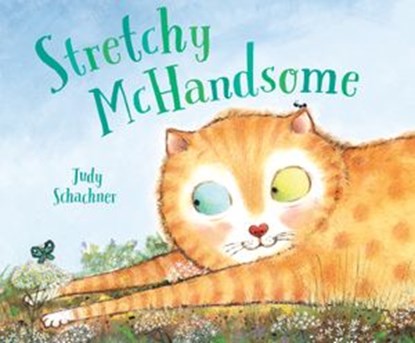 Stretchy McHandsome, Judy Schachner - Ebook - 9780525553687