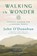 Walking in Wonder, John O'Donohue - Gebonden - 9780525575283