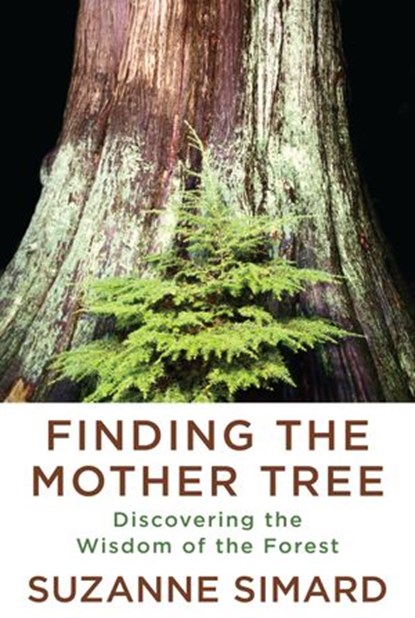Finding the Mother Tree, Suzanne Simard - Ebook - 9780525656104