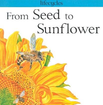 From Seed to Sunflower, Gerald Scrace Legg - Paperback - 9780531153345