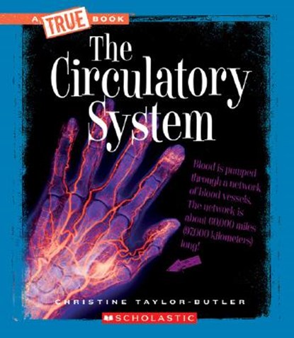 The Circulatory System, Christine Taylor-Butler - Paperback - 9780531207307