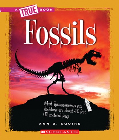 Fossils (A True Book: Earth Science), Ann O. Squire - Paperback - 9780531262504