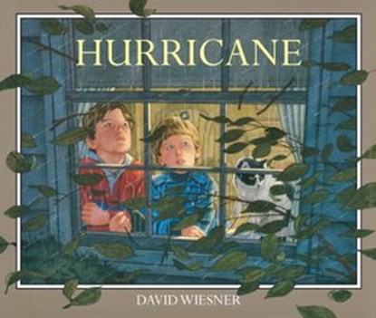 Hurricane (Read-Aloud), David Wiesner - Ebook - 9780544466371