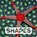 SHAPES, NOUVION,  Judith - Gebonden - 9780544518308