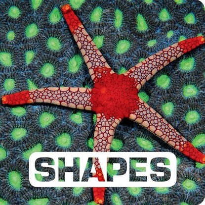 SHAPES, NOUVION,  Judith - Gebonden - 9780544518308