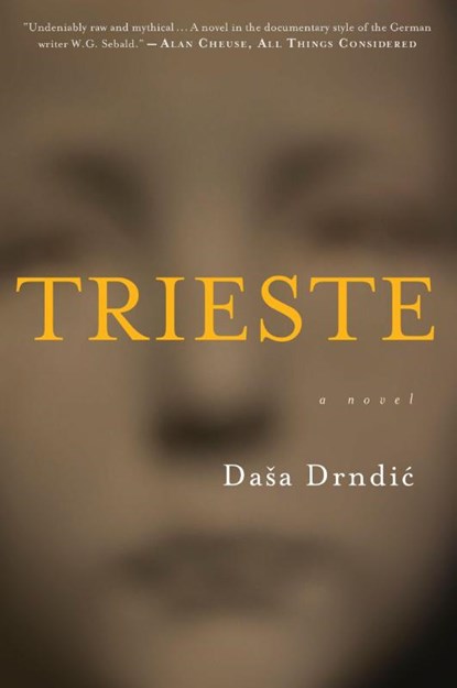 Trieste, Dasa Drndic - Paperback - 9780544538504
