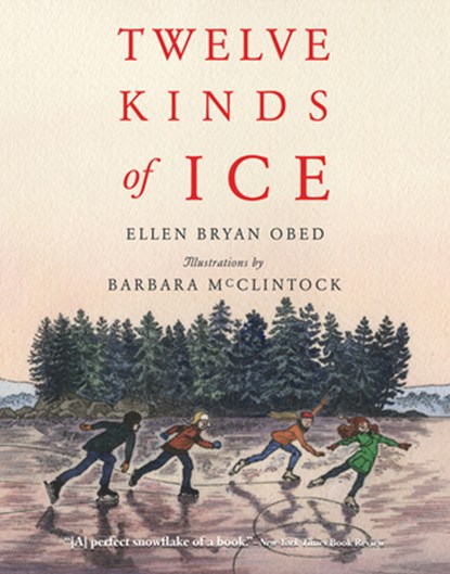 Twelve Kinds of Ice, Ellen Bryan Obed - Paperback - 9780544555549