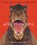 Apex Predators, Steve Jenkins - Gebonden - 9780544671607