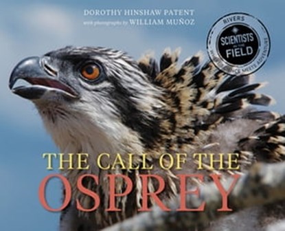 The Call of the Osprey, Dorothy Hinshaw Patent ; William Muoz - Ebook - 9780544672185
