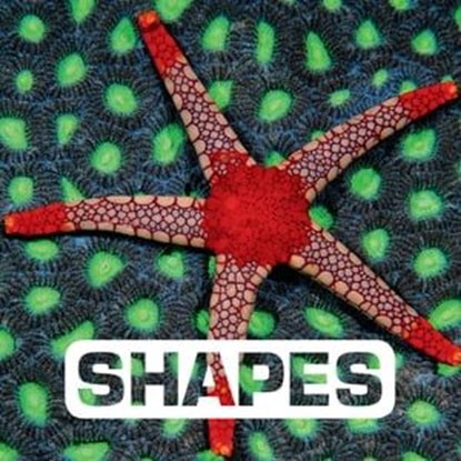 Shapes, Judith Nouvion - Ebook - 9780544759039