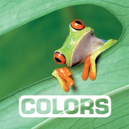 Colors, Marie Vendittelli - Ebook - 9780544866614