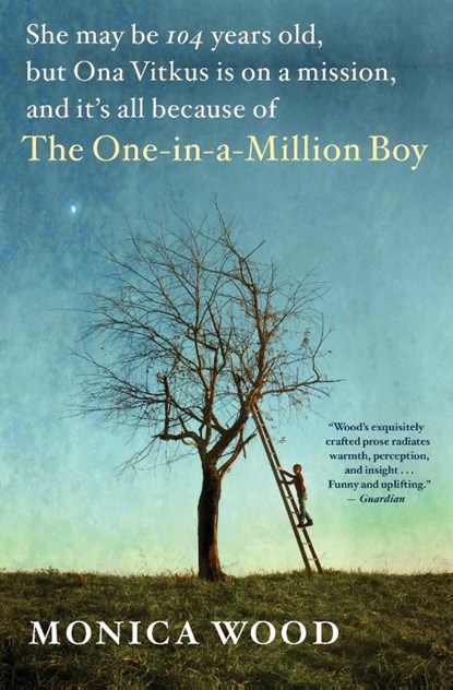 The One-in-a-Million Boy, Wood Monica Wood - Paperback - 9780544947214