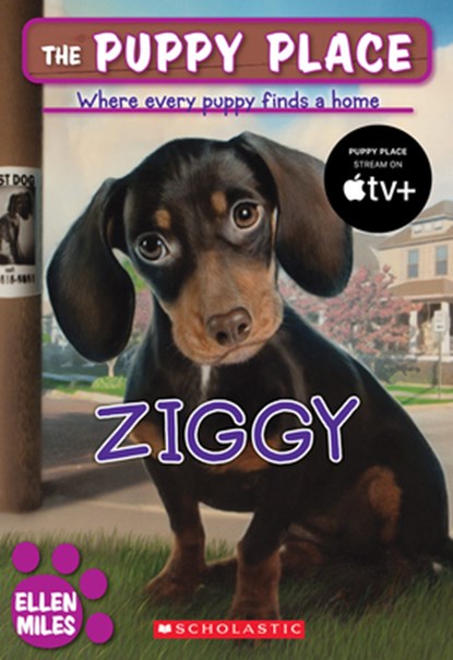 Ziggy (the Puppy Place #21): Volume 21, Ellen Miles - Paperback - 9780545253956