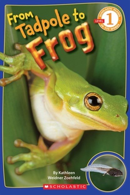 From Tadpole to Frog (Scholastic Reader, Level 1), Kathleen Weidner Zoehfeld - Paperback - 9780545273374