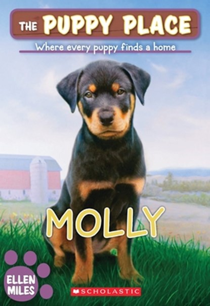 Molly (the Puppy Place #31), Ellen Miles - Paperback - 9780545462426
