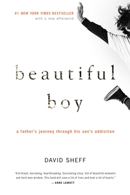 Beautiful Boy, Sheff David Sheff - Paperback - 9780547203881