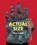 Actual Size, Steve Jenkins - Paperback - 9780547512914