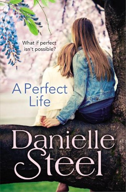 A Perfect Life, Danielle Steel - Paperback - 9780552165884