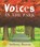 Voices in the Park, Anthony Browne - Paperback - 9780552545648