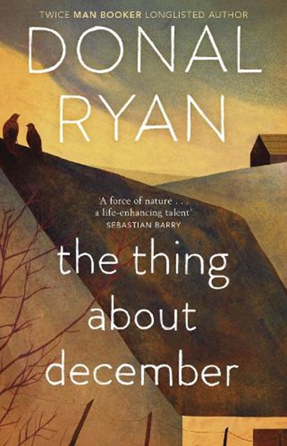 The Thing About December, Donal Ryan - Paperback - 9780552773577