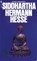 Siddhartha, Hermann Hesse - Paperback - 9780553208849