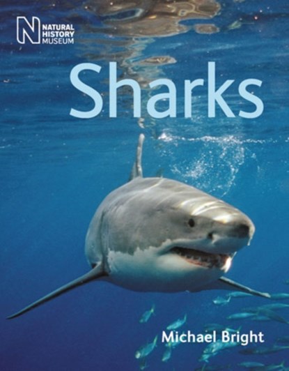 Sharks, Michael Bright - Paperback - 9780565092894