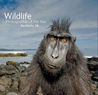 Wildlife Photographer of the Year: Portfolio 28, Rosamund Kidman Cox - Gebonden - 9780565094287