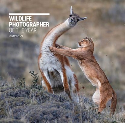 Wildlife Photographer of the Year: Portfolio 29, Rosamund Kidman Cox - Gebonden Gebonden - 9780565094867