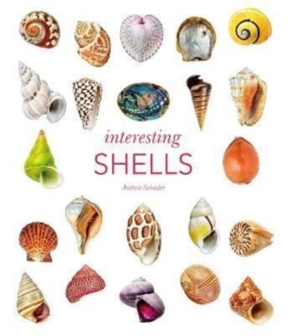 Interesting Shells, Andreia Salvador - Gebonden Gebonden - 9780565095109