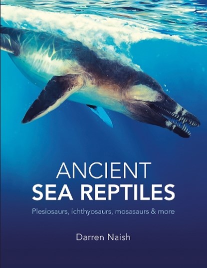 Ancient Sea Reptiles, Darren Naish - Paperback - 9780565095765